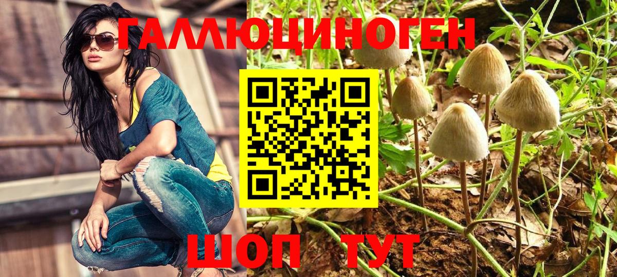 Туймазы  Псилоцибиновые грибы MAGIC MUSHROOMS  Вход с VPN 