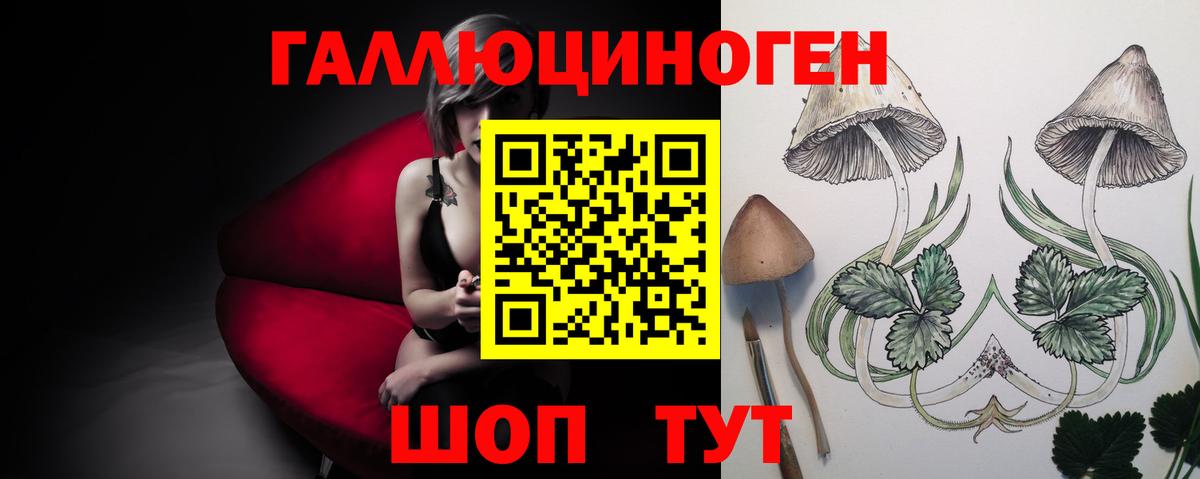 Псилоцибиновые грибы Psilocybe Туймазы